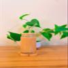 Iced Coffee Glass Cup with Bamboo Lid and Straw | 16oz Beer Can Glass | beer glass Cup | Can Shaped Glass Soda Can Cup | Small pink heart shape Glass Cup, Beer Glass Can, Glass Coffee Cup view 1