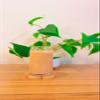 Iced Coffee Glass Cup with Bamboo Lid and Straw | 16oz Beer Can Glass | beer glass Cup | Can Shaped Glass Soda Can Cup | Small pink heart shape Glass Cup, Beer Glass Can, Glass Coffee Cup view 3