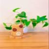 Iced Coffee Glass Cup with Bamboo Lid and Straw | 16oz Beer Can Glass | beer glass Cup | Can Shaped Glass Soda Can Cup | Smiley beige and brown Glass Cup, Beer Glass Can, Glass Coffee Cup view 3