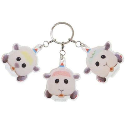 PUIPUI Molcar PMRC-031 Driving School 3 Row Acrylic Key Holder, B, W 2.4 x H 2.4 inches (6 x 6 cm)