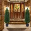 3.5ft Artificial Cedar Topiary Tree Potted Plants with UV Resistant Leaves for Home and Office Decoration-2 Piece Set view 3