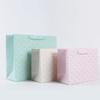 CALLARON 4pcs Party Favor Bags with Handles Lightweight Bags for Birthdays Weddings and Special Events view 2