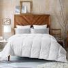 1 Piece Comforter Super Soft All Season-400GSM Lightweight 6 Corner Ties Premium Quality Goose Down Comforter- Oversized King (120" X 98") Colour-White view 1