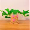 Iced Coffee Glass Cup with Bamboo Lid and Straw | 16oz Beer Can Glass | beer glass Cup | Can Shaped Glass Soda Can Cup | mushroom Glass Cup pink, Beer Glass Can, Glass Coffee Cup view 3