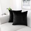 NiNi ALL Decorative Throw Pillow Covers Pack of 2, Velvet Throw Pillow Cases for Couch Pillows Cover Bedroom Living Room Outdoor, Pillow Covers 26x26 Inch Black view 1