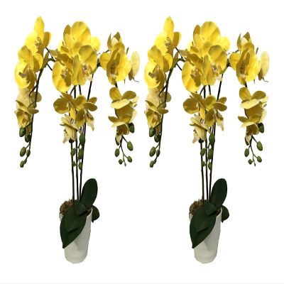 AMERIQUE Pair 24 Inch Artificial Yellow Orchid with Nursery Pots