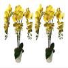 AMERIQUE Pair 24 Inch Artificial Yellow Orchid with Nursery Pots view 1
