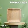 Didaey 150 Pcs 6 Inch Palm Leaf Square Bamboo Plates Disposable Wood Dinnerware Set Leaf Plates for Weddings Catering Events Birthday Summer Party view 2