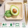 Didaey 150 Pcs 6 Inch Palm Leaf Square Bamboo Plates Disposable Wood Dinnerware Set Leaf Plates for Weddings Catering Events Birthday Summer Party view 4