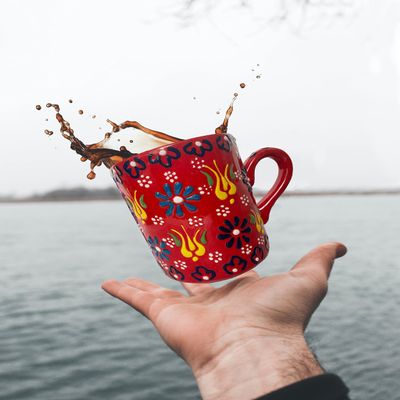 2x Ceramic Embossed Floral Coffee Mug, Rustic Tea Cup, Water Glasses Tumbler, Painted Stoneware Americano Mug, Neighbour Gifts, Gift for Mom