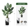 Artificial Tree in Contemporary Planter, Fake Bird of Paradise Silk Tree for Indoor and Outdoor Home Decoration - 67" Overall Tall (Plant Pot Plus Tree) view 3