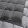 1-Piece Microfiber Comforter Oversized King - Super Soft 500GSM Lightweight 6 Corner Ties Premium Quality Down Alternative Winter Comforter- Oversized King (120" X 98") Colour-Light Grey/Dark Grey view 4