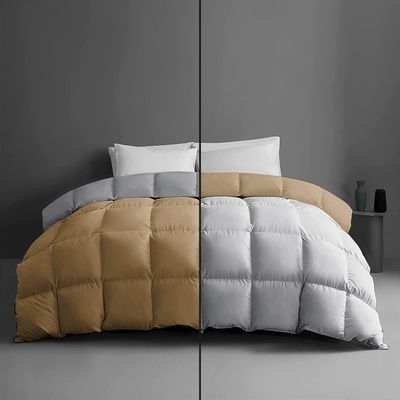 1-Piece Microfiber Comforter Oversized King - Super Soft 500GSM Lightweight 6 Corner Ties Premium Quality Down Alternative Winter Comforter- Oversized King (120" X 98") Colour-Light Grey/Beige