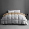 1-Piece Microfiber Comforter Oversized King - Super Soft 500GSM Lightweight 6 Corner Ties Premium Quality Down Alternative Winter Comforter- Oversized King (120" X 98") Colour-Light Grey/Beige view 2