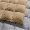 1-Piece Microfiber Comforter Oversized King - Super Soft 500GSM Lightweight 6 Corner Ties Premium Quality Down Alternative Winter Comforter- Oversized King (120" X 98") Colour-Light Grey/Beige view 4