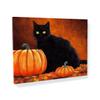 Sense Canvas Black Cat Pumpkin 5 Canvas Art - Home Decor Wall Art Print Poster Painting Large 40x30 / 1.5" view 1