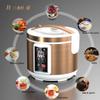 5L Black Garlic Fermenter, Automatic Garlic Fermenting machine, Wine Fermenting Machine, Yogurt Maker with Temperature Control view 2