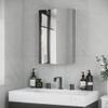 kleankin Wall-Mounted Medicine Cabinet with Mirror, Bathroom Mirror Cabinet Wall Mounted with Hinged Door, Storage Shelves for Living Room and Laundry Room, 15" x 24", Silver view 2
