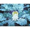 1 Pcs Christmas Real Glitter White Cirithium & Heart Cockle Sea Shell Ornament view 1
