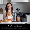 Ninja NeverClog Cold Press Juicer, Powerful Slow Juicer with Total Pulp Control, Countertop, Electric, 2 Pulp Functions, Dishwasher Safe, 2nd Generation, Charcoal, JC151 view 4