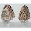 5" to 6" King Helmet Cassis Tuberosa Sea Shell Beach Decor Coral Reef view 2