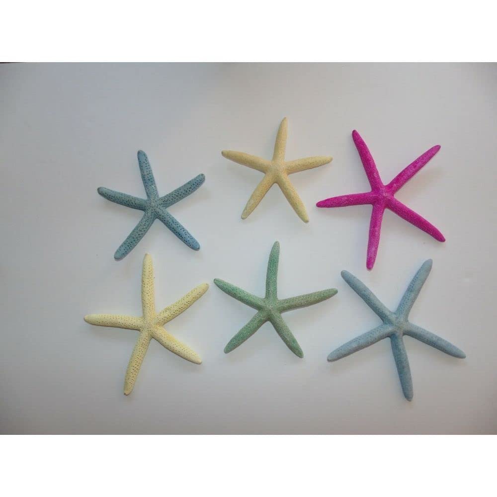 Six (6) 5" to 6" Dyed Philippine Finger Starfish Sea Shell Beach Craft
