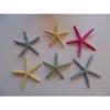 Six (6) 5" to 6" Dyed Philippine Finger Starfish Sea Shell Beach Craft view 2