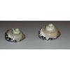 Two (2) Polished Magpie Turbo W/ Pearl Top Half, Sea Shells Beach Craft Aquarium view 1