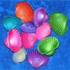 1/2 Pound of 2 to 3" Dyed Ark Sea Shells, Beach Decor Craft Tropical view 1