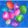 1/2 Pound of 2 to 3" Dyed Ark Sea Shells, Beach Decor Craft Tropical view 2