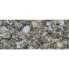 1/2 Pound Tiny Indian Ocean Mix Sea Shell Up to 1/2" Decor Craft Reef view 1