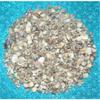 1/2 Pound Tiny Indian Ocean Mix Sea Shell Up to 1/2" Decor Craft Reef view 2