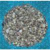 1/2 Pound Tiny Indian Ocean Mix Sea Shell Up to 1/2" Decor Craft Reef view 3