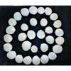 1/2 Pound of Coco Clam Sea Shells, Beach Decor Craft Tropical Nautical Reef view 1