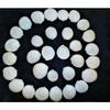 1/2 Pound of Coco Clam Sea Shells, Beach Decor Craft Tropical Nautical Reef view 2