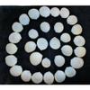1/2 Pound of Coco Clam Sea Shells, Beach Decor Craft Tropical Nautical Reef view 3