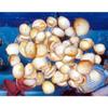 1/2 Pound Strawberry Cockle Sea Shells 1" to 2" Beach Decor Craft view 2