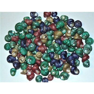 1/2 Pound of Dyed Turbo Euchelus Sea Shells Beach Decor Craft