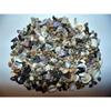 1/2 Pound Extra Small Indian Ocean Mix Sea Shell Up to 7/8" Decor Craft Reef view 1