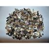 1/2 Pound Extra Small Indian Ocean Mix Sea Shell Up to 7/8" Decor Craft Reef view 2