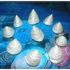 Ten (10) Pearl Tectus Stellatus Sea Shells 1-1/4 to 1-1/2 Beach Decor Craft view 3