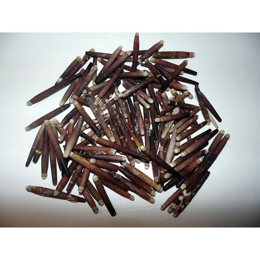1/2 Pound Sea Urchin Spines 1 to 2-3/4" Sea Shell Decor Craft Reef Nautical