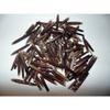 1/2 Pound Sea Urchin Spines 1 to 2-3/4" Sea Shell Decor Craft Reef Nautical view 1