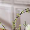 Artificial Flowers Simulation Flower Rose Floral Set Simple Home Living Room Decoration Creative Office Desktop Fake Flower Silk Flower Decoration Small Jewelry Flower Decoration ( Size : White bottle view 4