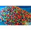 1/2 Pound of Dyed Venetian Snail Shells Beach Decor Nautical Craft Tropical view 3