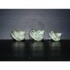 Three (3) Pearl Banded Green Turbo Sea Shell view 3