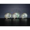 Three (3) Pearl Banded Green Turbo Sea Shell view 4