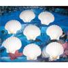 Eight (8) Irish Deep Scallop Sea Shells 4" to 4-1/2" Beach Decor Craft view 2