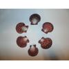 Six (6) Pecten Pallium Scallop Pairs, Sea Shells 2-1/2" to 2" Beach Decor Craft view 3