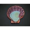 5-6" Orange Lions Paw Single Sea Shell, Beach Decor Tropical view 1